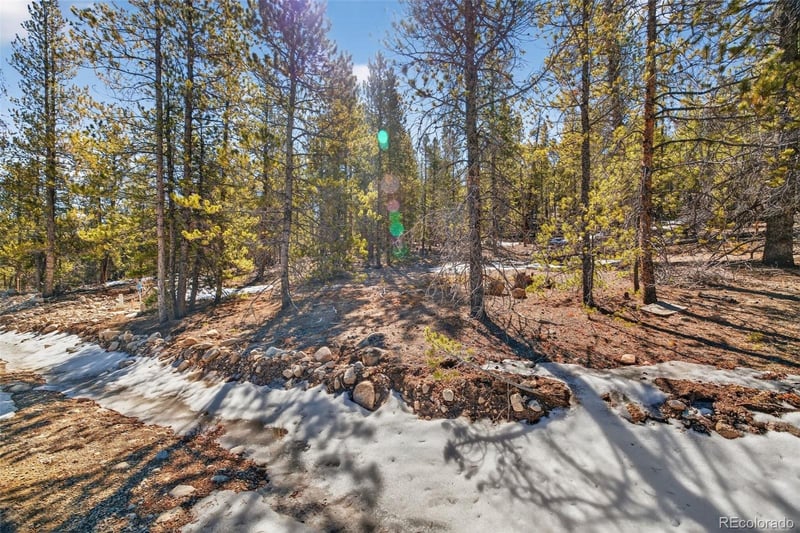 312 Mt Massive Rd, Twin Lakes, CO 81251