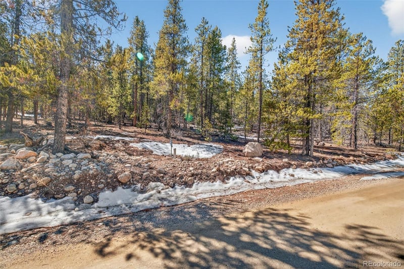 312 Mt Massive Rd, Twin Lakes, CO 81251
