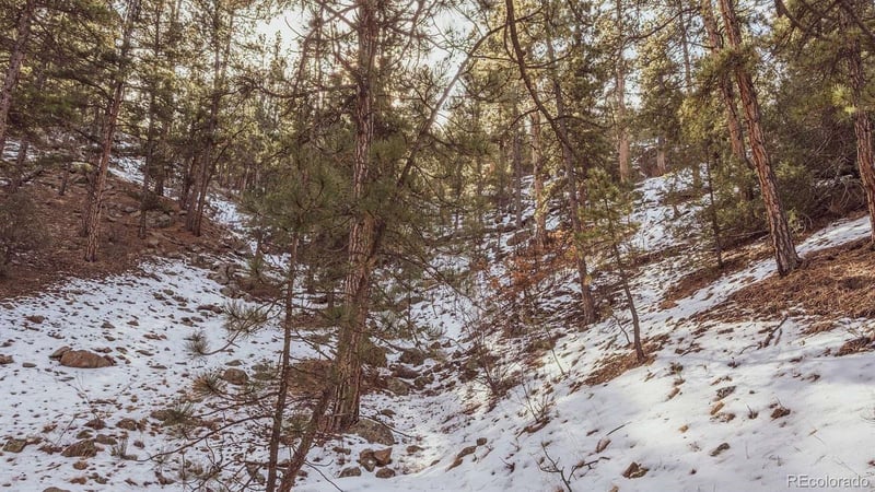 Gulch Rd, Cotopaxi, CO 81223