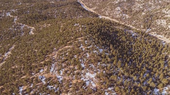 Gulch Rd, Cotopaxi, CO 81223