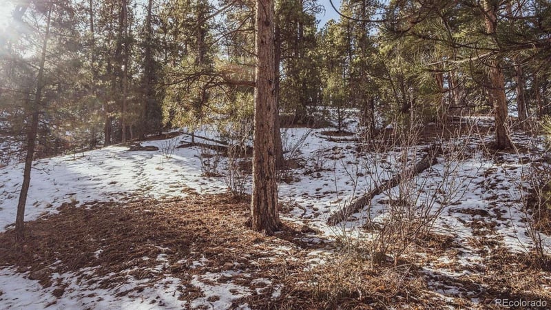 Gulch Rd, Cotopaxi, CO 81223