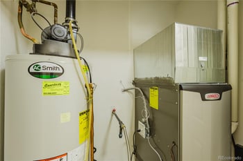 488 Black Feather Loop #210, Castle Rock, CO 80104