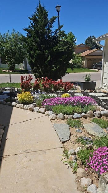 581 Longfellow Ln, Highlands Ranch, CO 80126