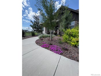 5821 Dakota Ct, Wellington, CO 80549