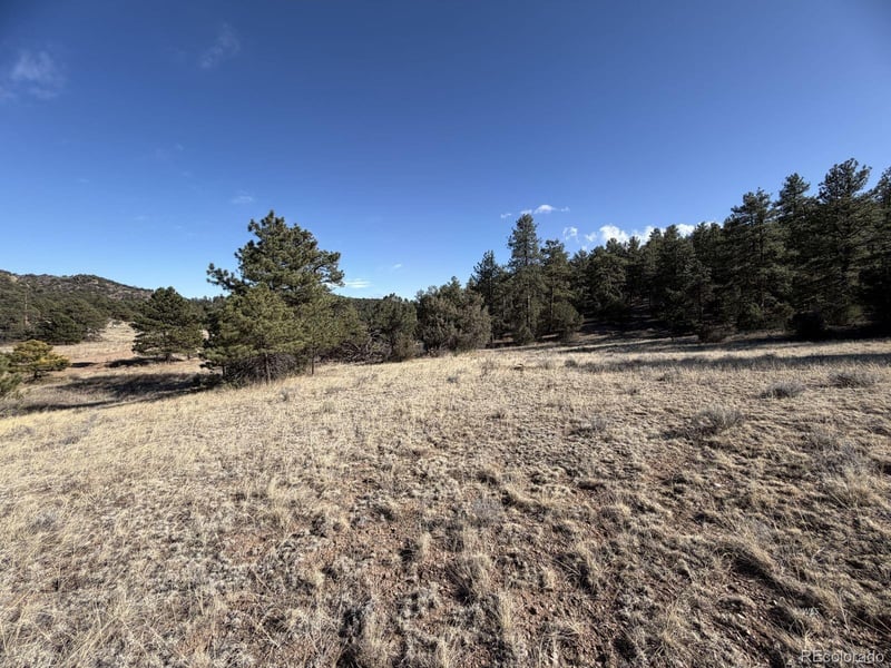 000 Canyon Rd, Cotopaxi, CO 81223