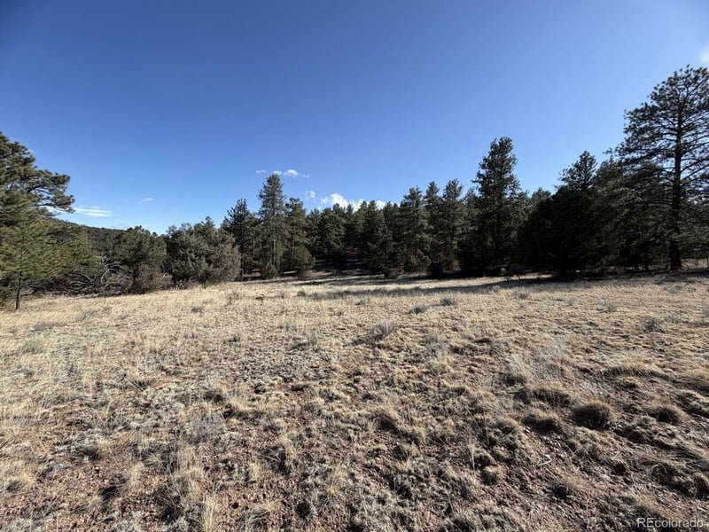 000 Canyon Rd, Cotopaxi, CO 81223