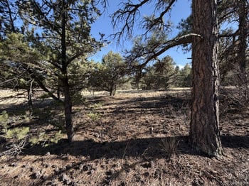 000 Canyon Rd, Cotopaxi, CO 81223