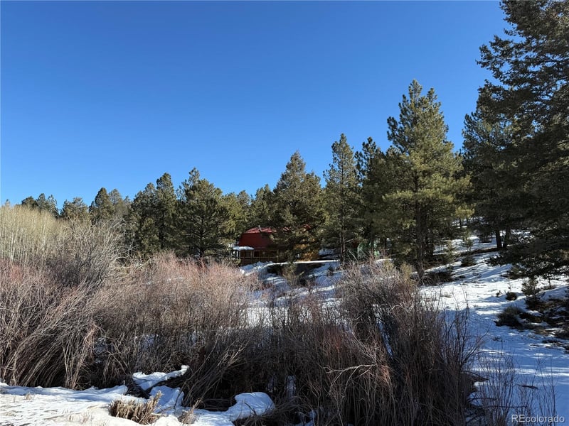 29885 County Road 46aa, Villa Grove, CO 81155