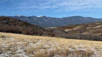 Davlin St, Colorado City, CO 81019