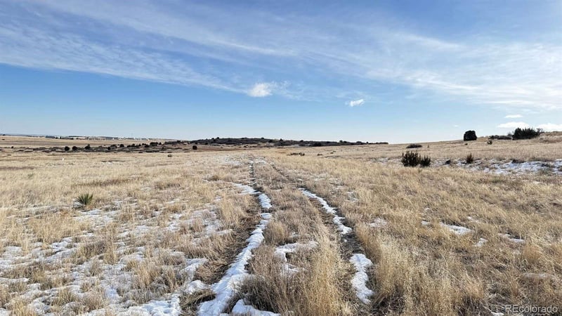 Davlin St, Colorado City, CO 81019