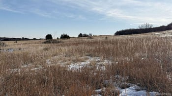 Davlin St, Colorado City, CO 81019