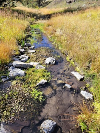 1321 Bristlecone Rd, Guffey, CO 80820