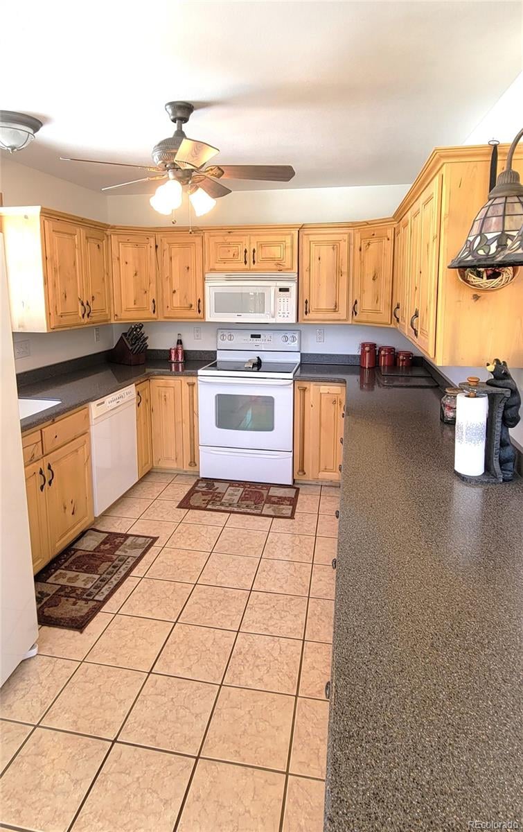 1321 Bristlecone Rd, Guffey, CO 80820