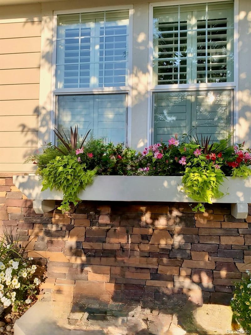 1142 Koss St, Erie, CO 80516