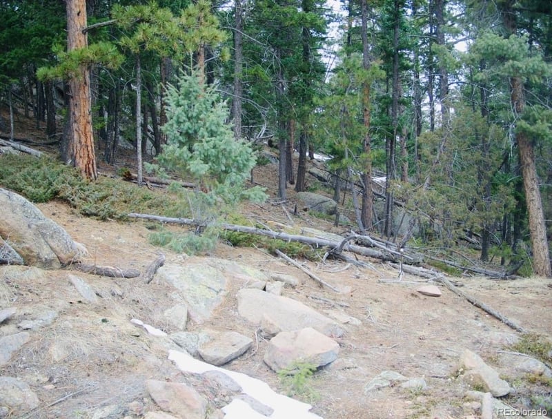 22076 High Springs Trl, Morrison, CO 80465