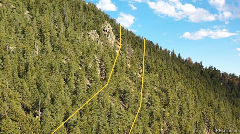 111 Bellevue Mountain Dr, Idaho Springs, CO 80452