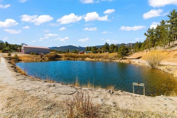 211 Appleby St, Bailey, CO 80421