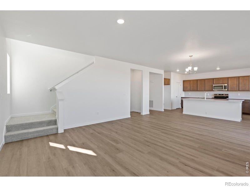 1448 Boyle St, Windsor, CO 80550