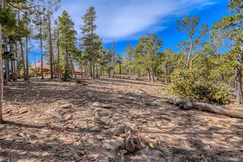 33149 Janelle Cir, Golden, CO 80403