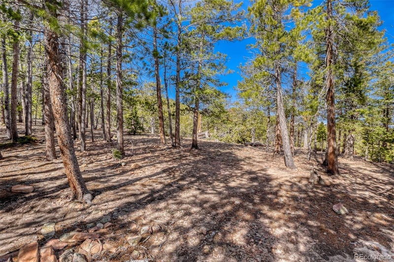 33149 Janelle Cir, Golden, CO 80403