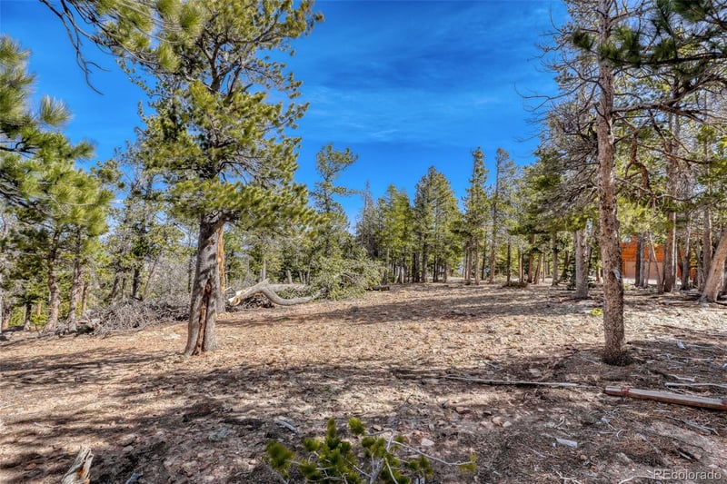 33149 Janelle Cir, Golden, CO 80403