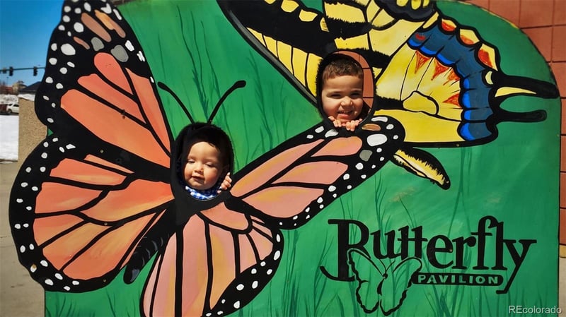 14227 Old Cottonwood St, Broomfield, CO 80020