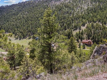 Dunraven Glade Rd, Glen Haven, CO 80532