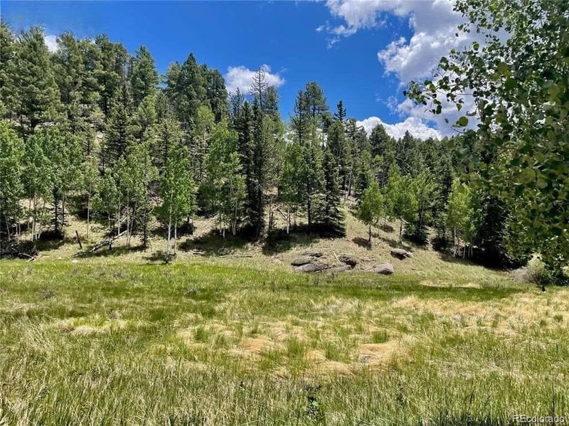 458 Arrowhead Rd, Florissant, CO 80816