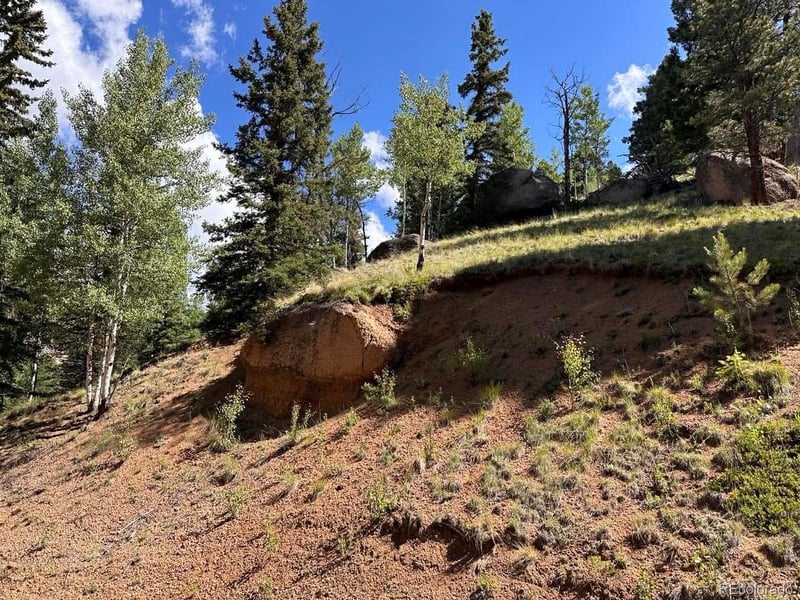 458 Arrowhead Rd, Florissant, CO 80816