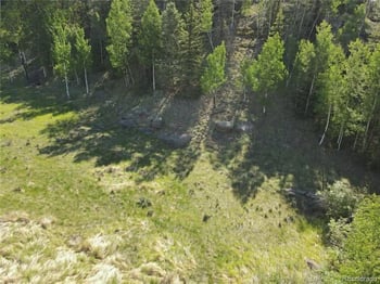 458 Arrowhead Rd, Florissant, CO 80816