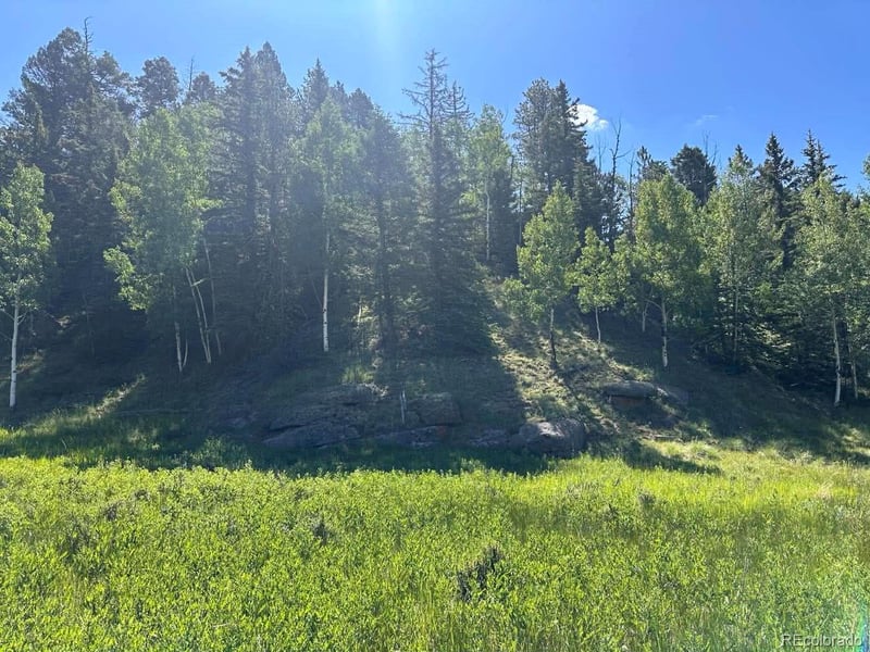 458 Arrowhead Rd, Florissant, CO 80816