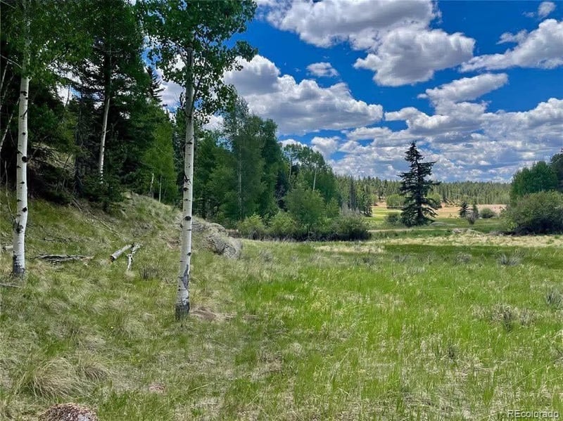 458 Arrowhead Rd, Florissant, CO 80816