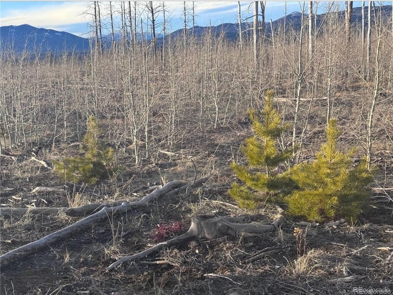 1290 Clayton Rd, Fort Garland, CO 81133