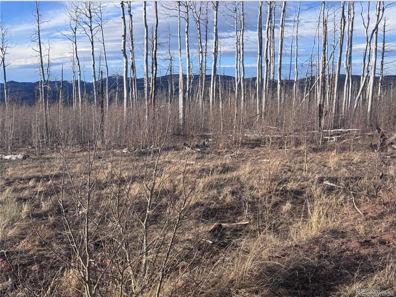 1290 Clayton Rd, Fort Garland, CO 81133