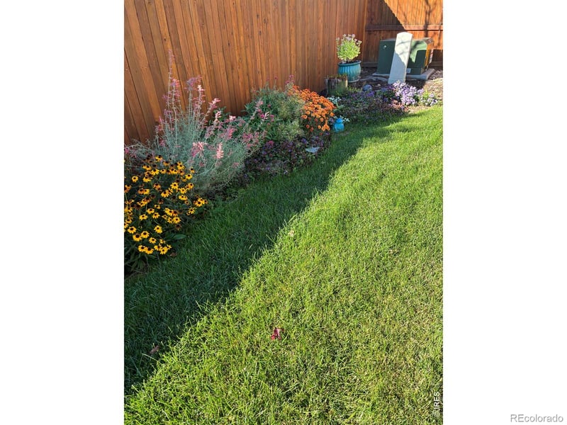 2656 Mustang Dr, Mead, CO 80542