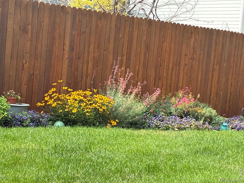 2656 Mustang Dr, Mead, CO 80542