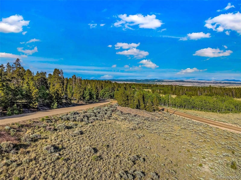 1430 Coil Dr, Fairplay, CO 80440