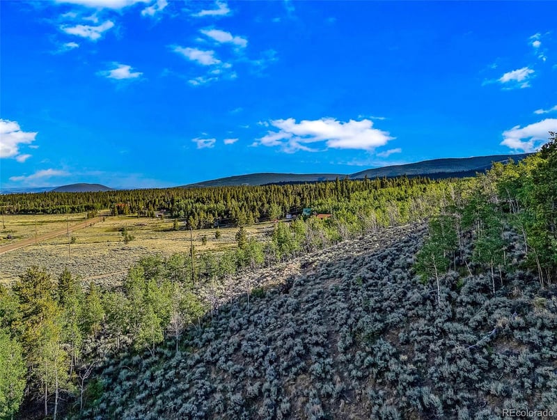 1430 Coil Dr, Fairplay, CO 80440