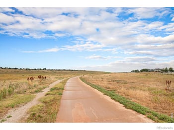 1345 Forrestal Dr, Fort Collins, CO 80526