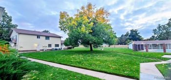 3355 Flower St #106, Lakewood, CO 80227