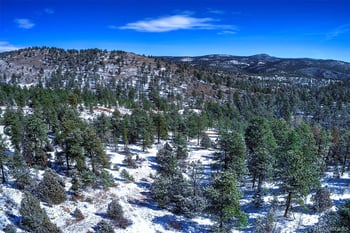 14372 Jubilee Trl, Pine, CO 80470