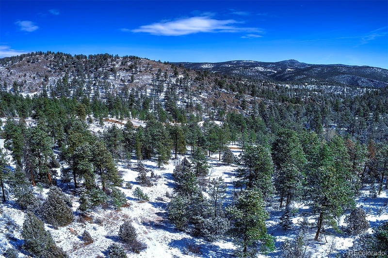 14372 Jubilee Trl, Pine, CO 80470