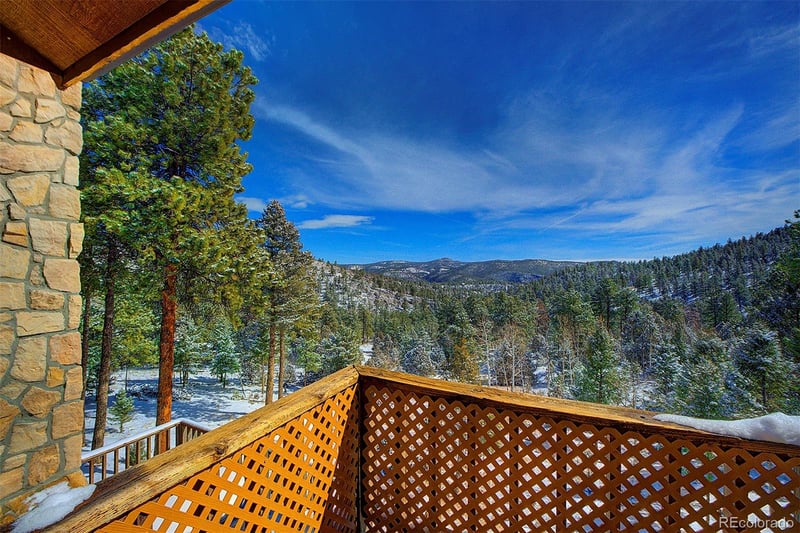 14372 Jubilee Trl, Pine, CO 80470