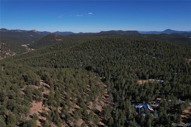 927 Forest Dr, Bailey, CO 80421