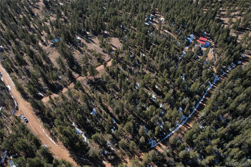 927 Forest Dr, Bailey, CO 80421