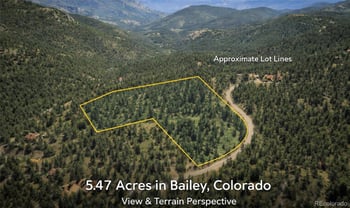 927 Forest Dr, Bailey, CO 80421