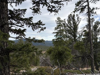 34251 Skyline Dr, Golden, CO 80403