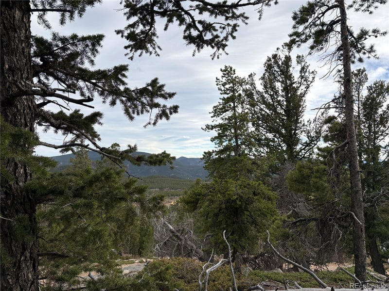 34251 Skyline Dr, Golden, CO 80403