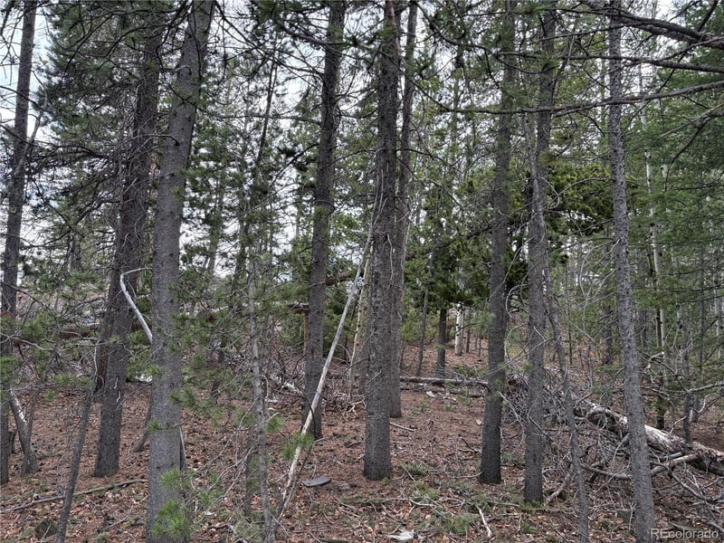 34251 Skyline Dr, Golden, CO 80403