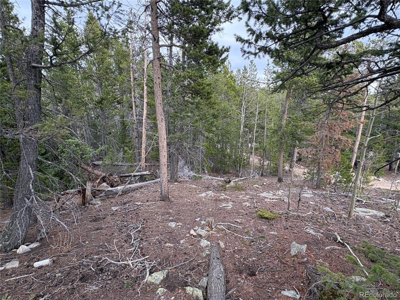 34251 Skyline Dr Lot 044124, Golden, CO 80403